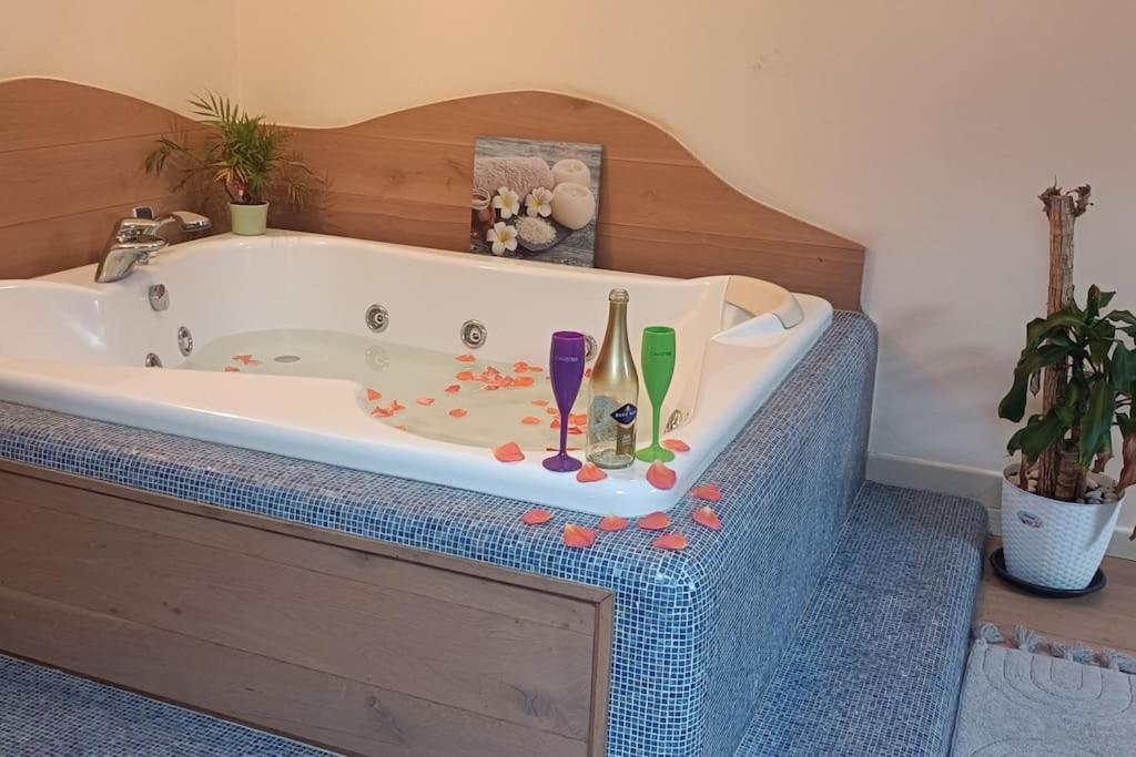 Central Terrace Escape With Jacuzzi Тимишоара Экстерьер фото