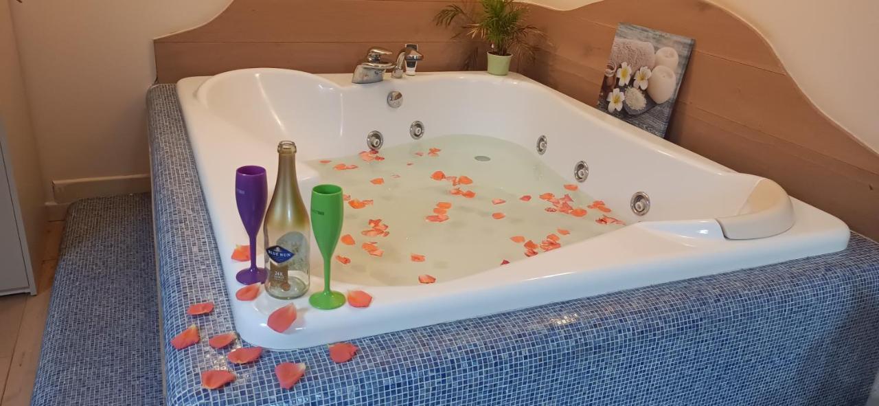 Central Terrace Escape With Jacuzzi Тимишоара Экстерьер фото