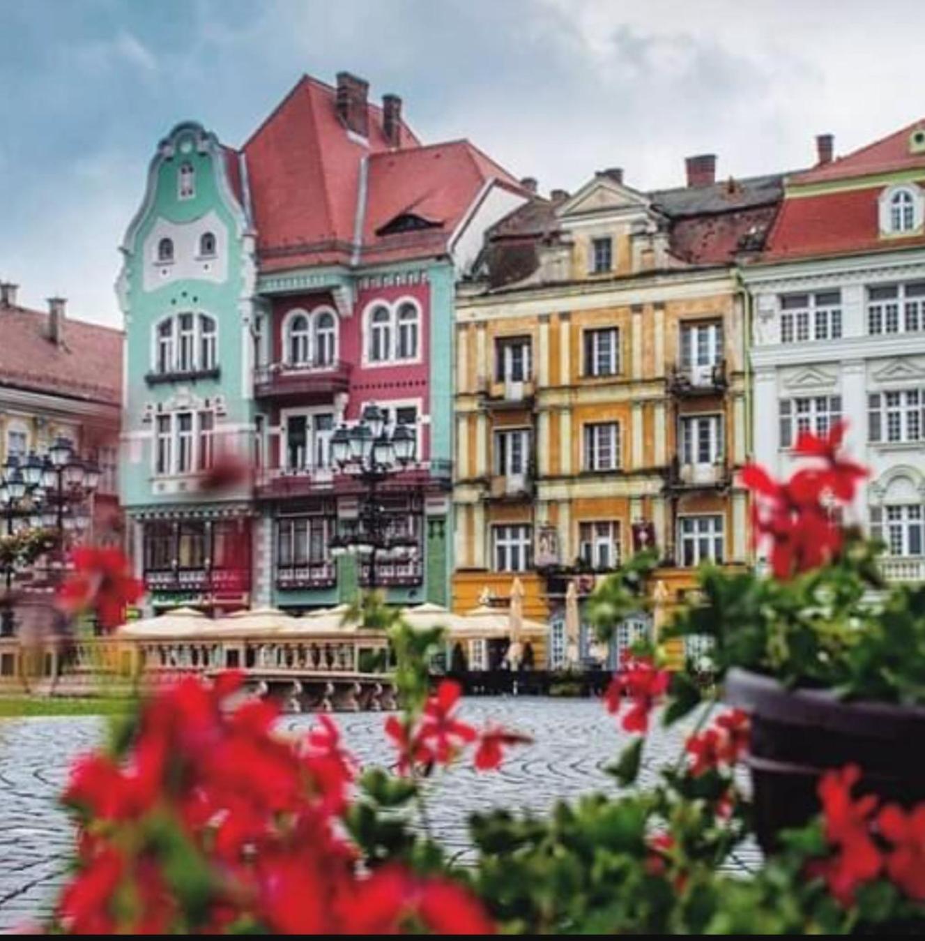 Central Terrace Escape With Jacuzzi Тимишоара Экстерьер фото