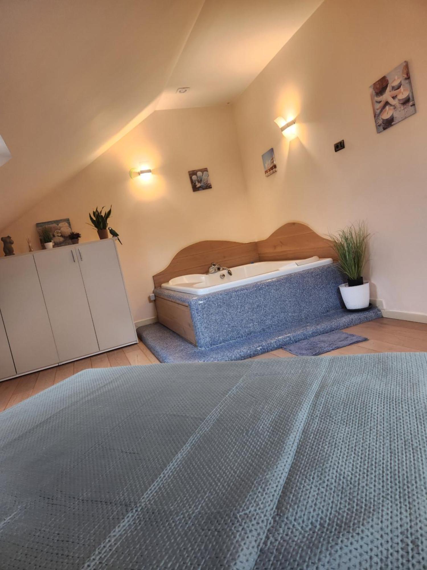 Central Terrace Escape With Jacuzzi Тимишоара Экстерьер фото