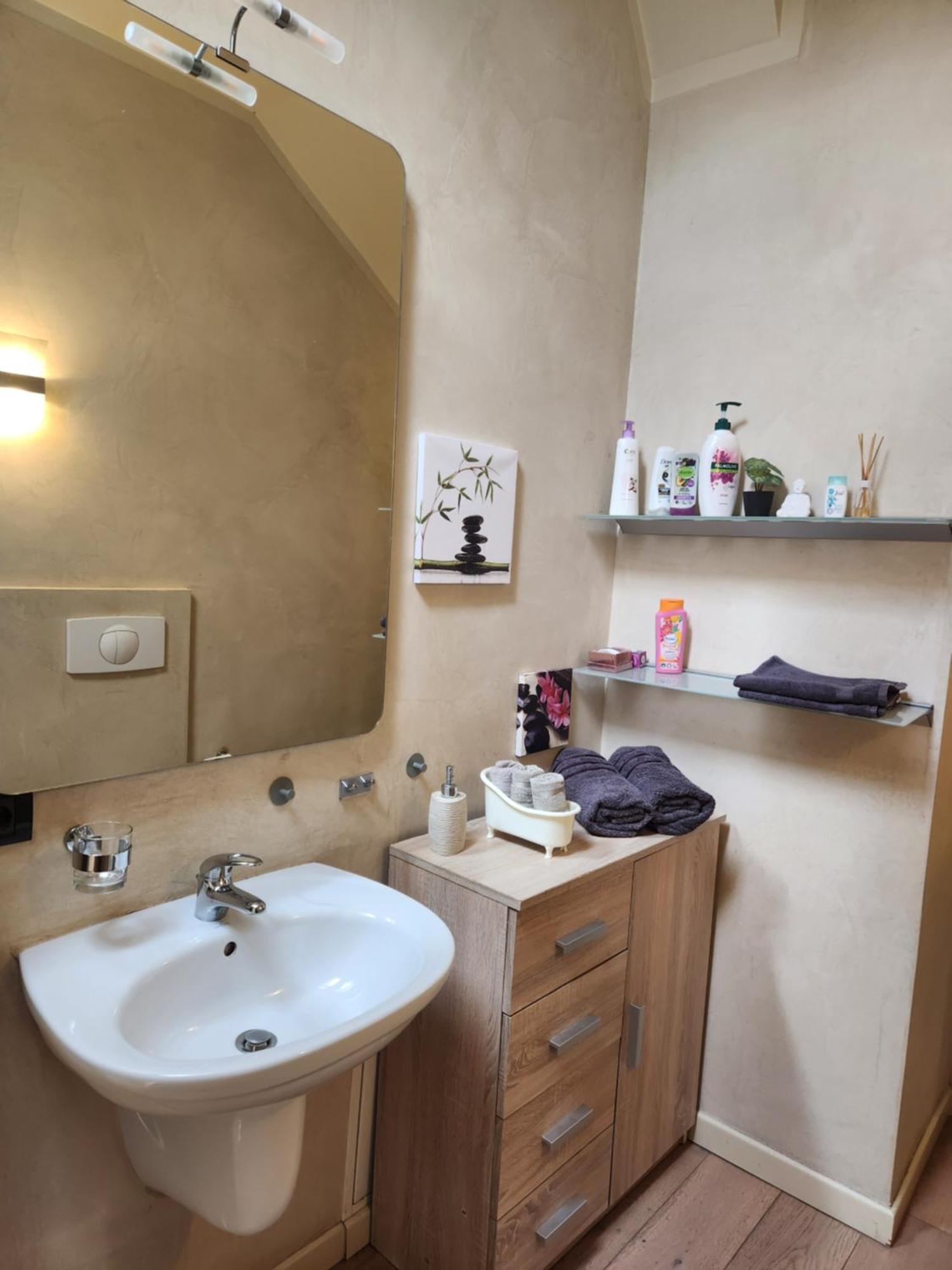 Central Terrace Escape With Jacuzzi Тимишоара Экстерьер фото