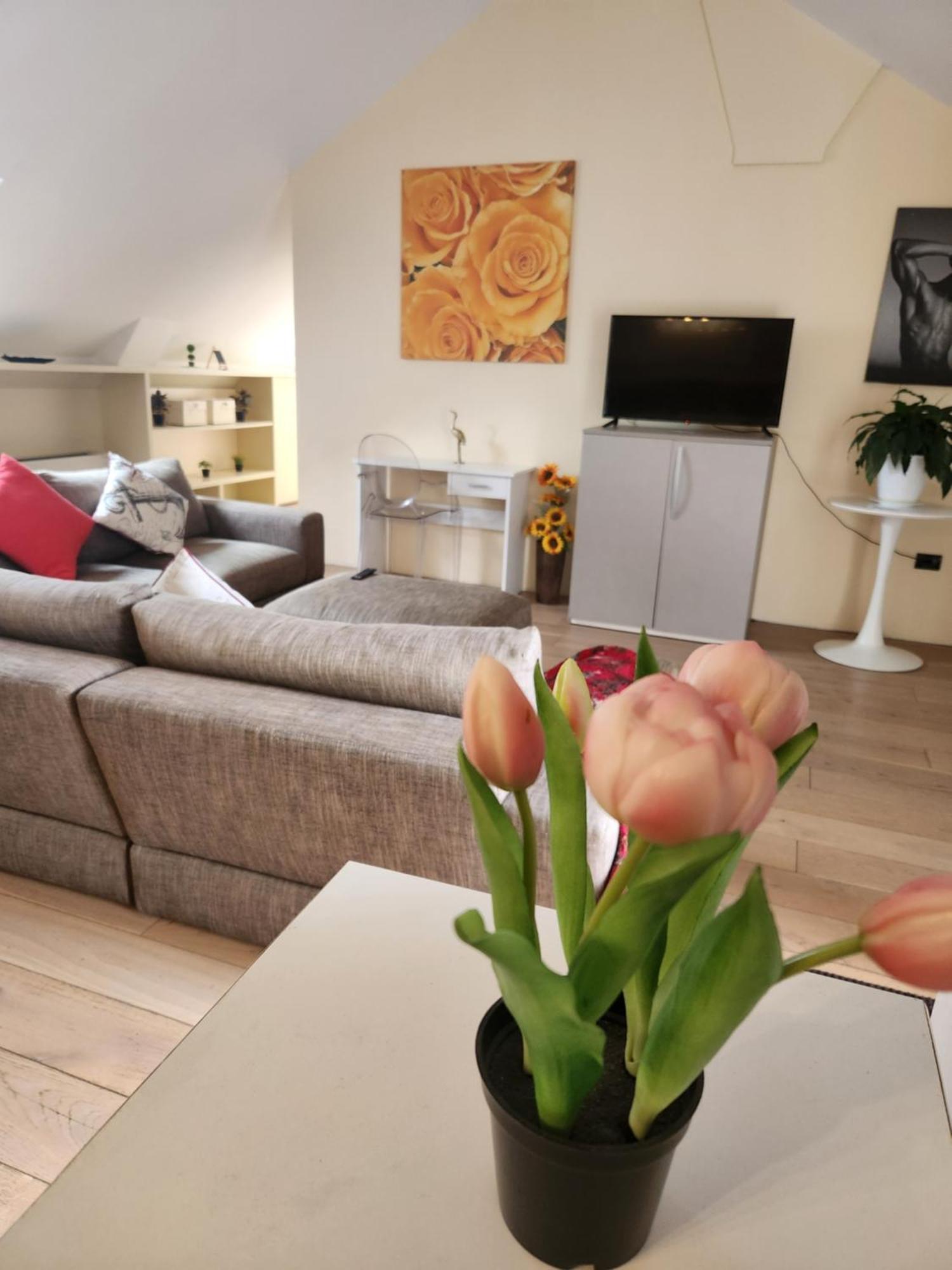 Central Terrace Escape With Jacuzzi Тимишоара Экстерьер фото
