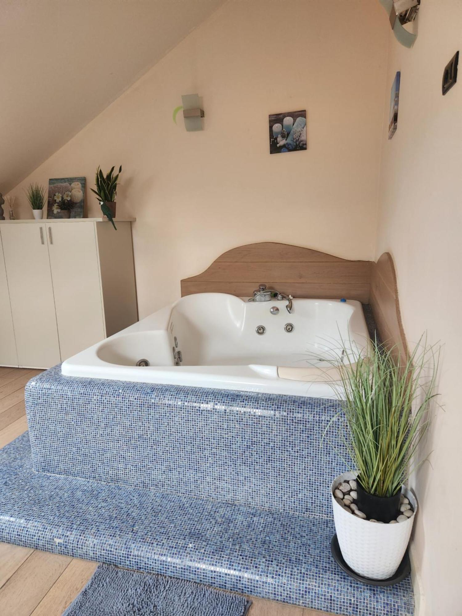Central Terrace Escape With Jacuzzi Тимишоара Экстерьер фото